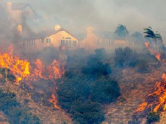 7歲男孩加州火災救6條命，整個都為他肅然起敬