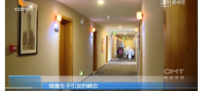 借腹生子（上）借腹生子金錢交易 無法自拔的婚外情引發(fā)悲劇